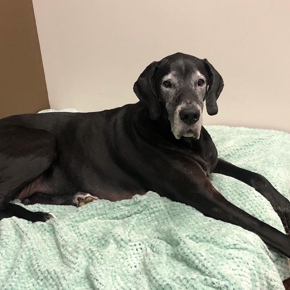 Meet your Posher, Jen - Picture 1 of 1